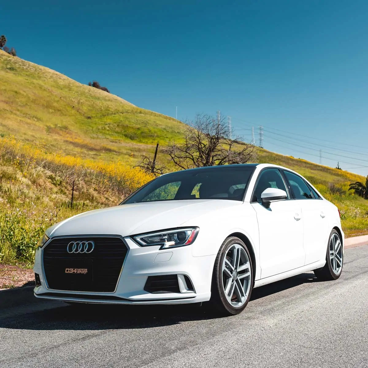 034 Motorsport Dynamic+ Springs Audi A3 S3 8V 06