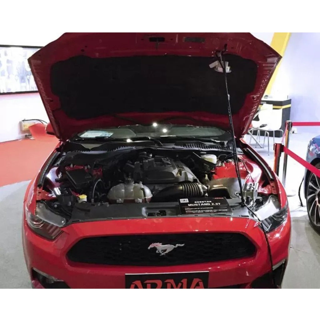 Armaspeed Carbon Fiber Air Intake Ford Fiesta ST Mk7 180-2