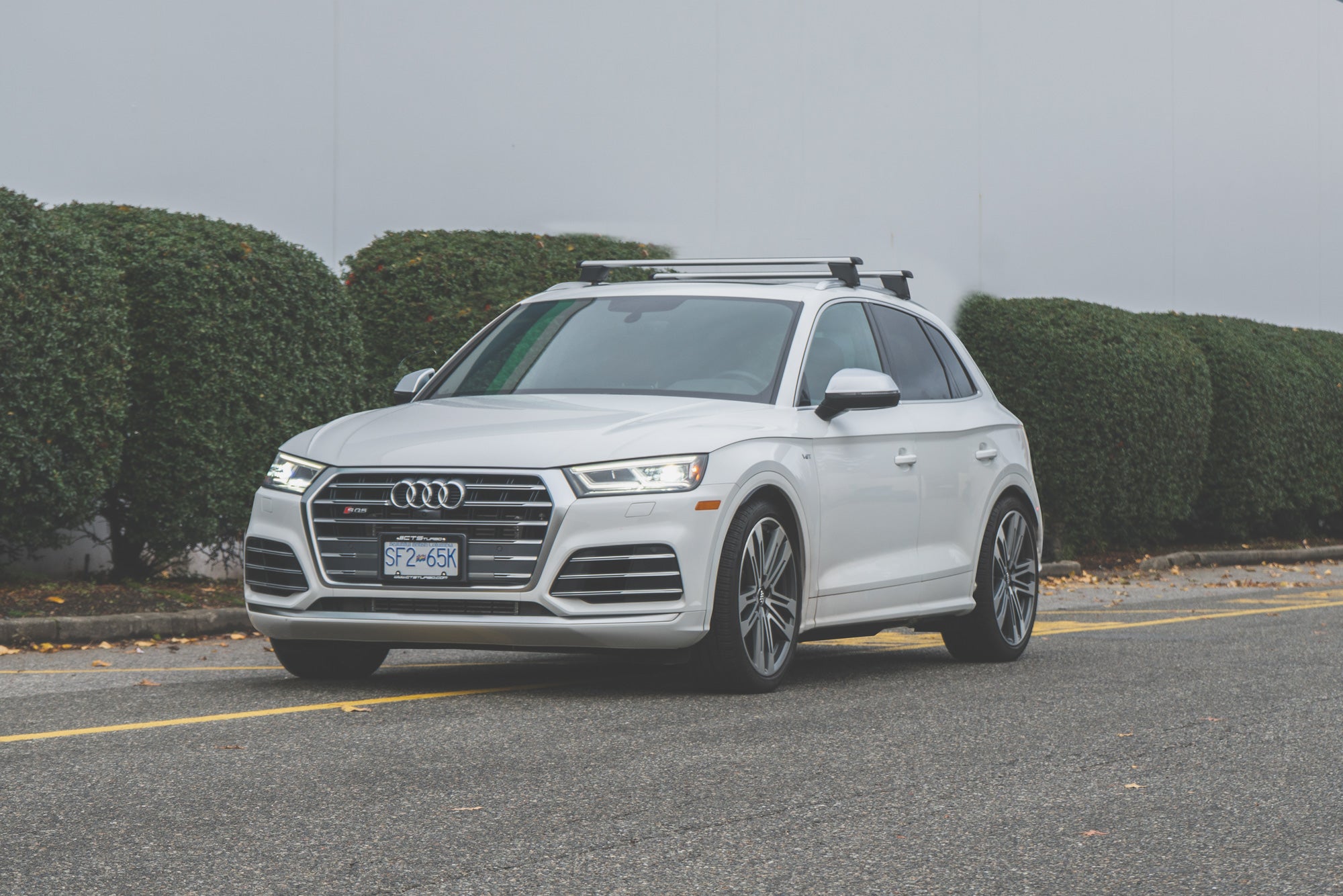 CTS Verlagingsveren Audi SQ5 B9 B9.5 2