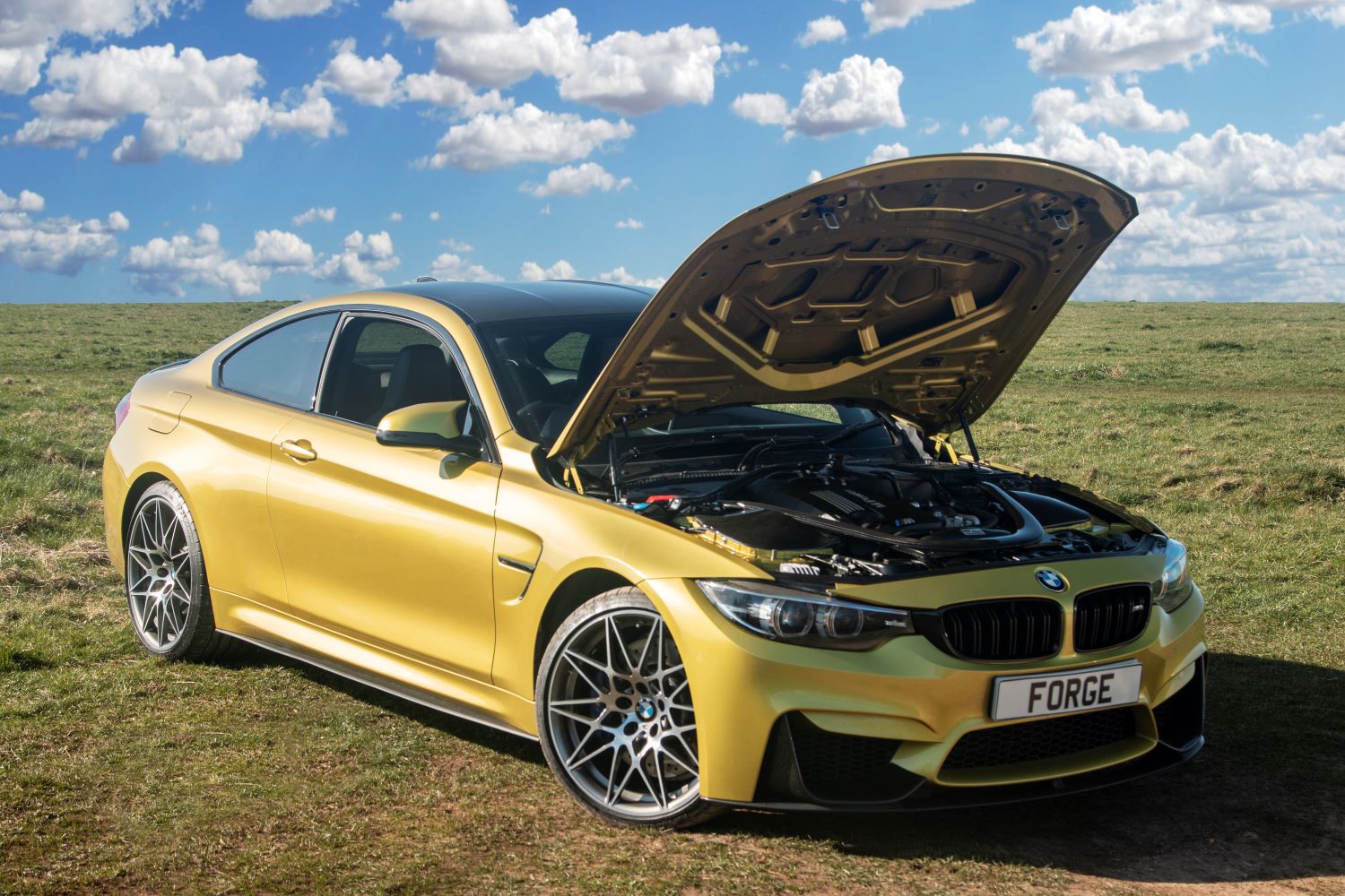 Forge Chargecooler BMW M2 Comp / M3 / M4 F8x-15