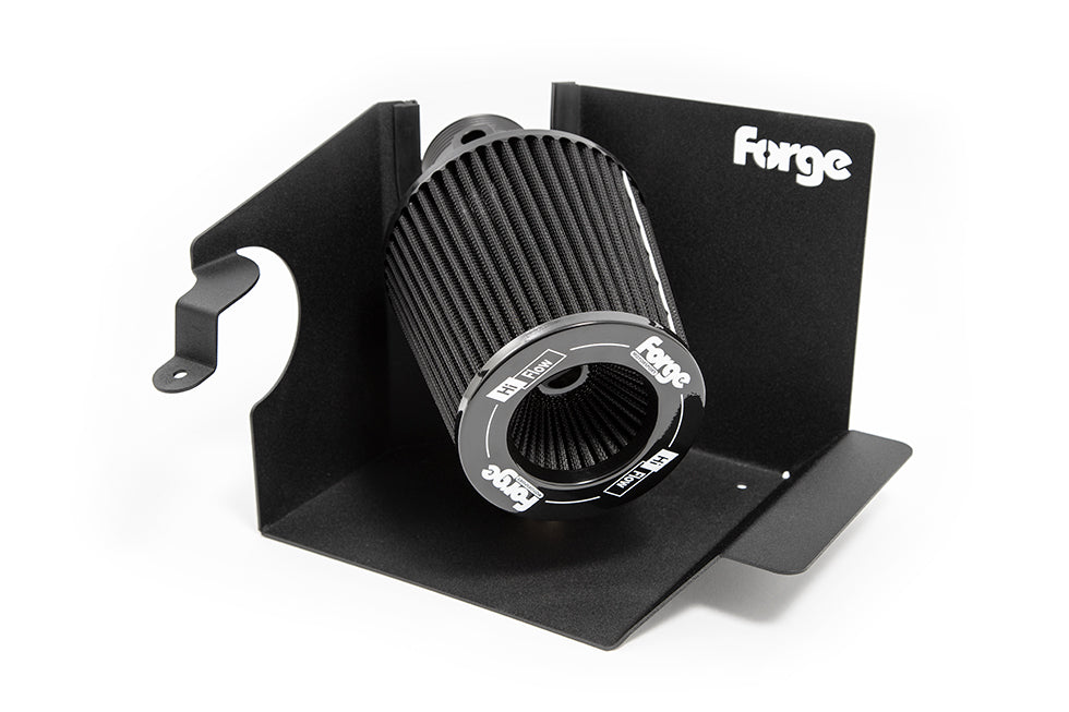 Forge Intake Ford Fiesta ST MK8-1