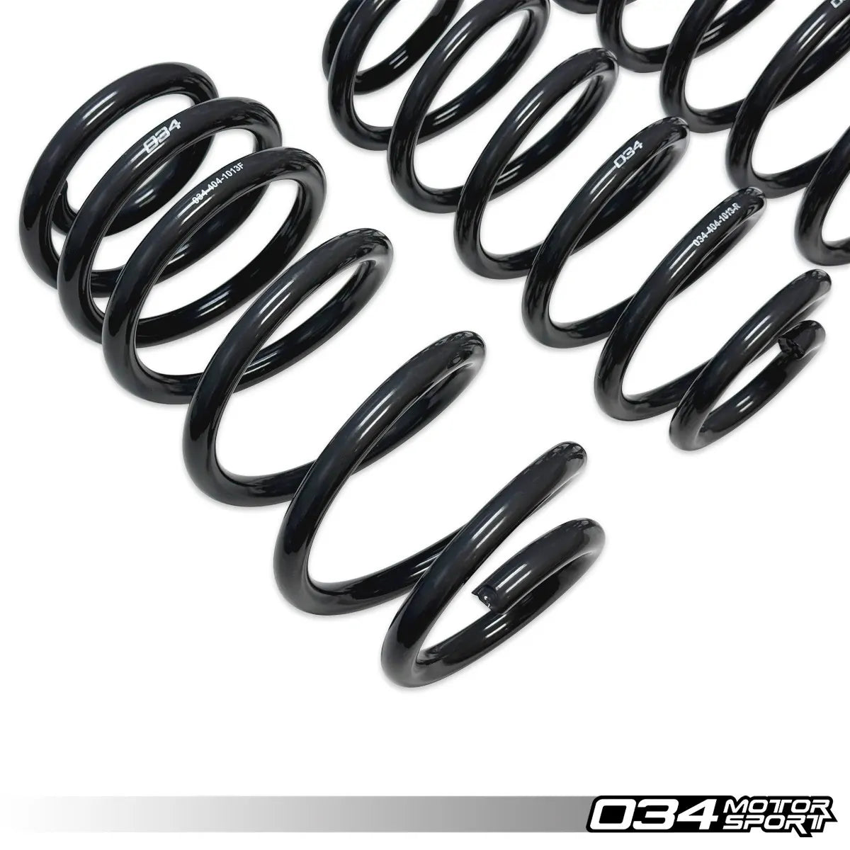 Dynamic+ Lowering Springs 03