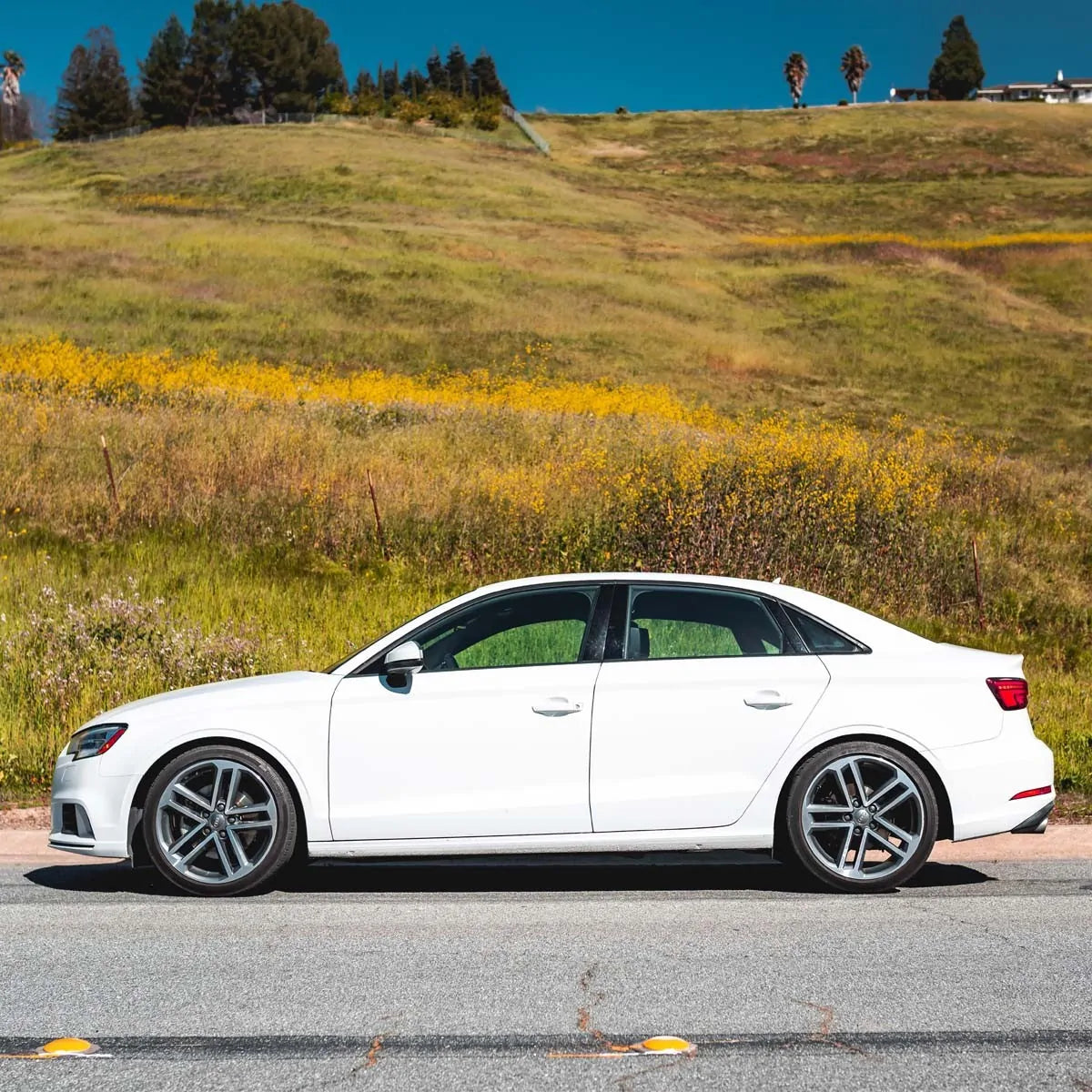 034 Motorsport Dynamic+ Springs Audi A3 S3 8V 04