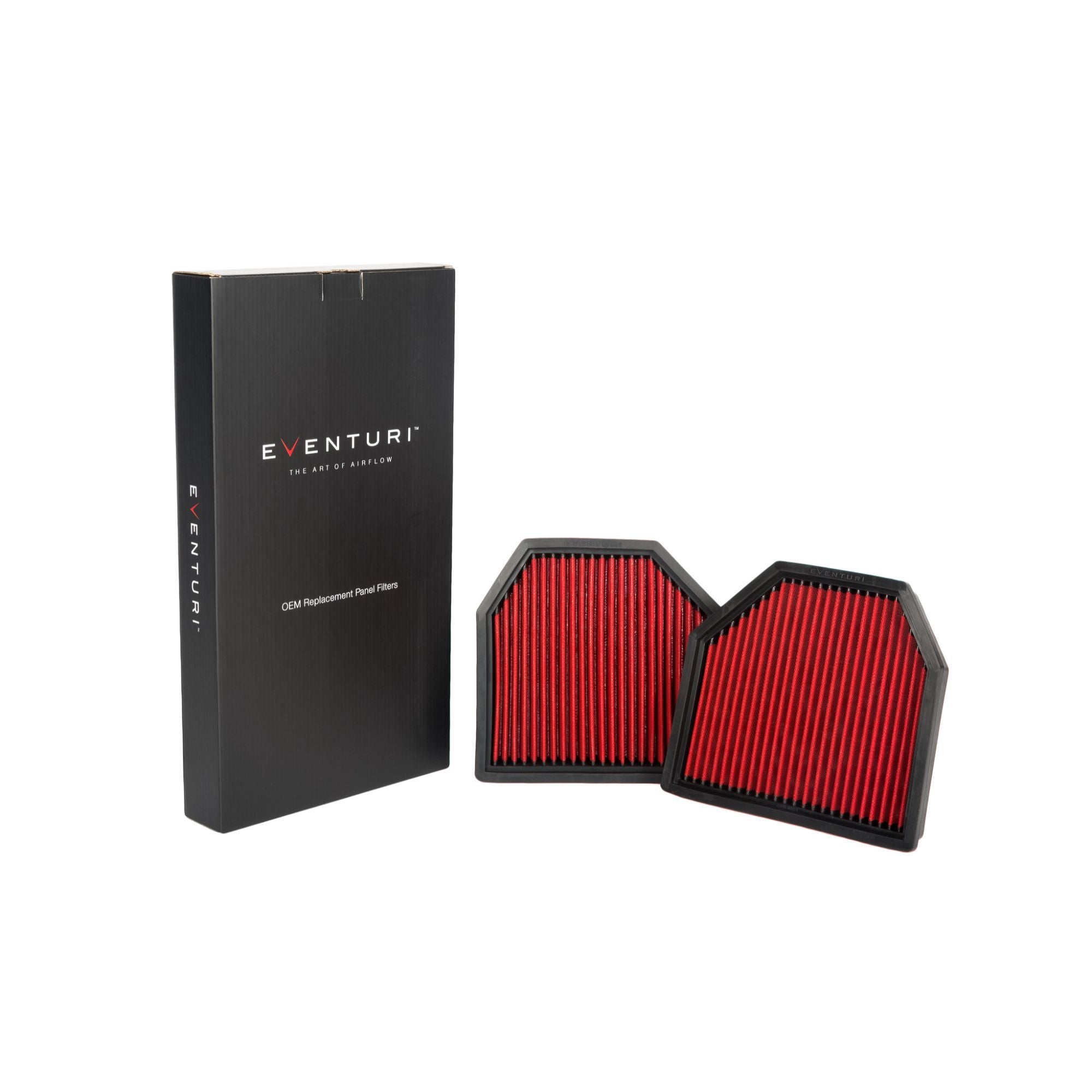 Eventuri Panel luchtfilters BMW M5 / M6 F10