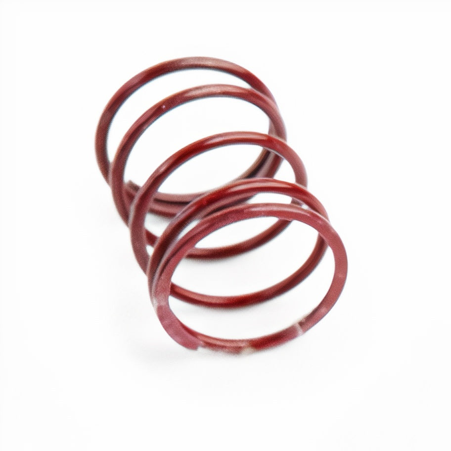 CTS Vervangingsveer voor CTS-DV-0002 en CTS-BV-0009 DV en BOV kits