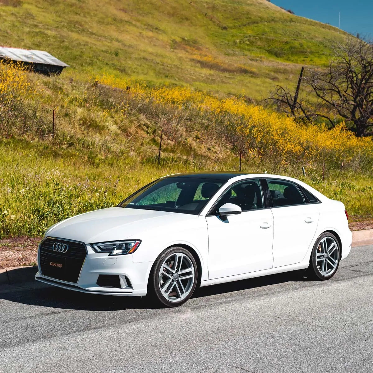 034 Motorsport Dynamic+ Veren Audi A3 S3 8V 05