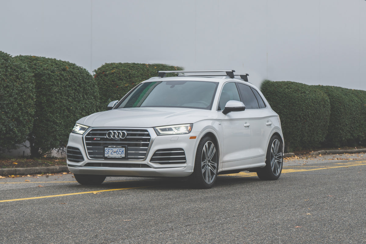 CTS Verlagingsveren Audi SQ5 B9 B9.5 2