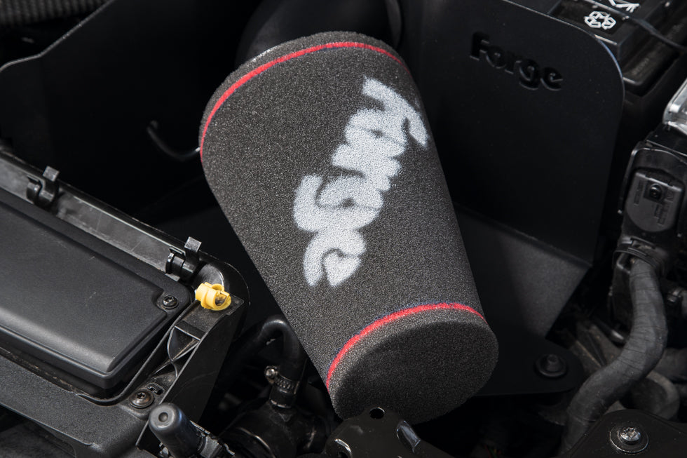 Forge Intake Audi S3 8V / Golf 7 GTI / Golf 8 R / Leon 3 Cupra / S3 8Y-4