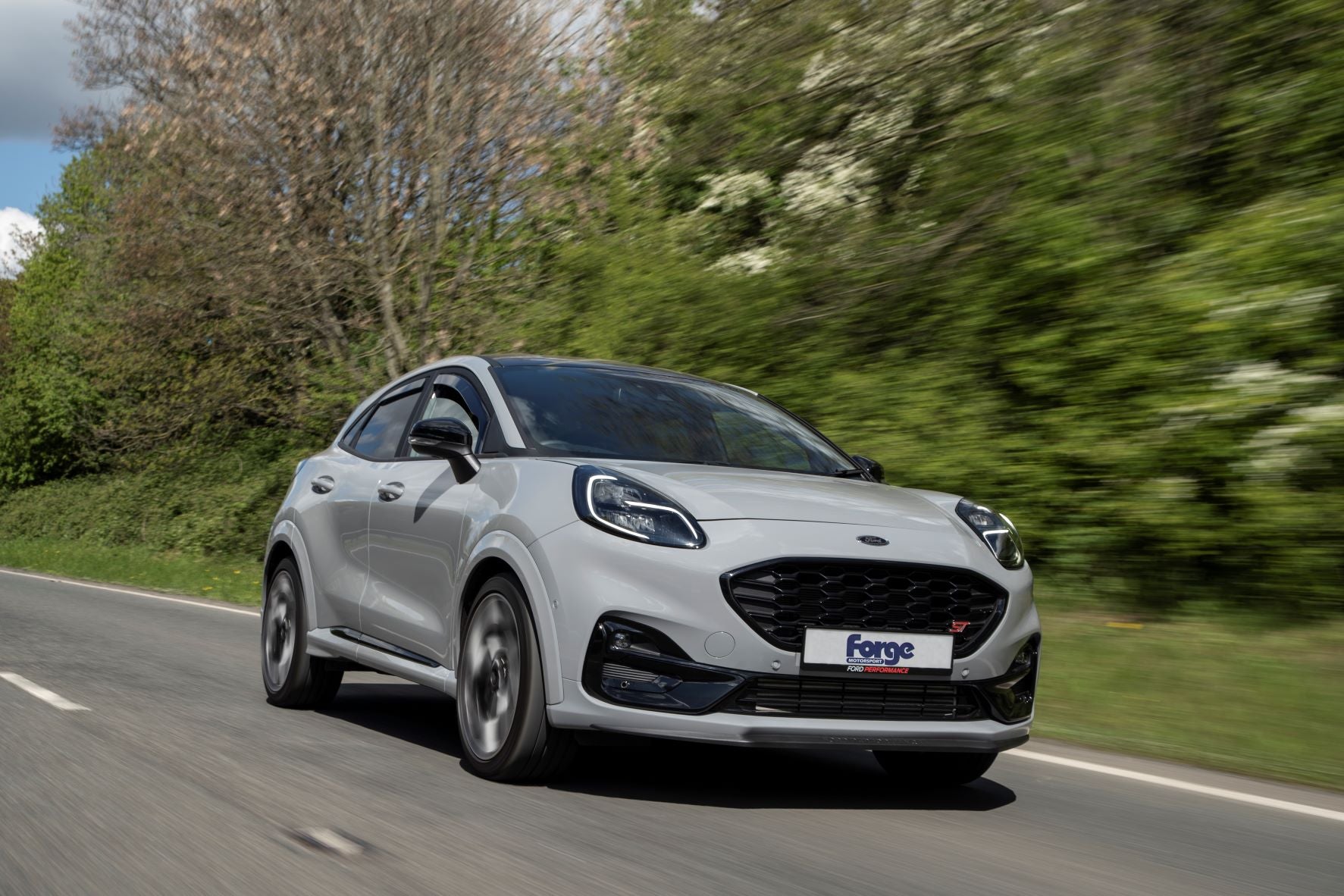 Forge Siliconen slang Ford Fiesta ST MK8-7