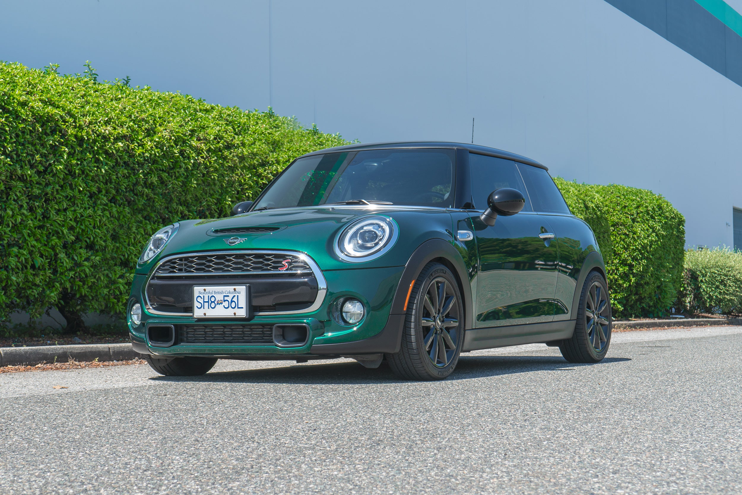 CTS Verlagingsveren Mini Cooper F55 F56 Cooper S JCW 4