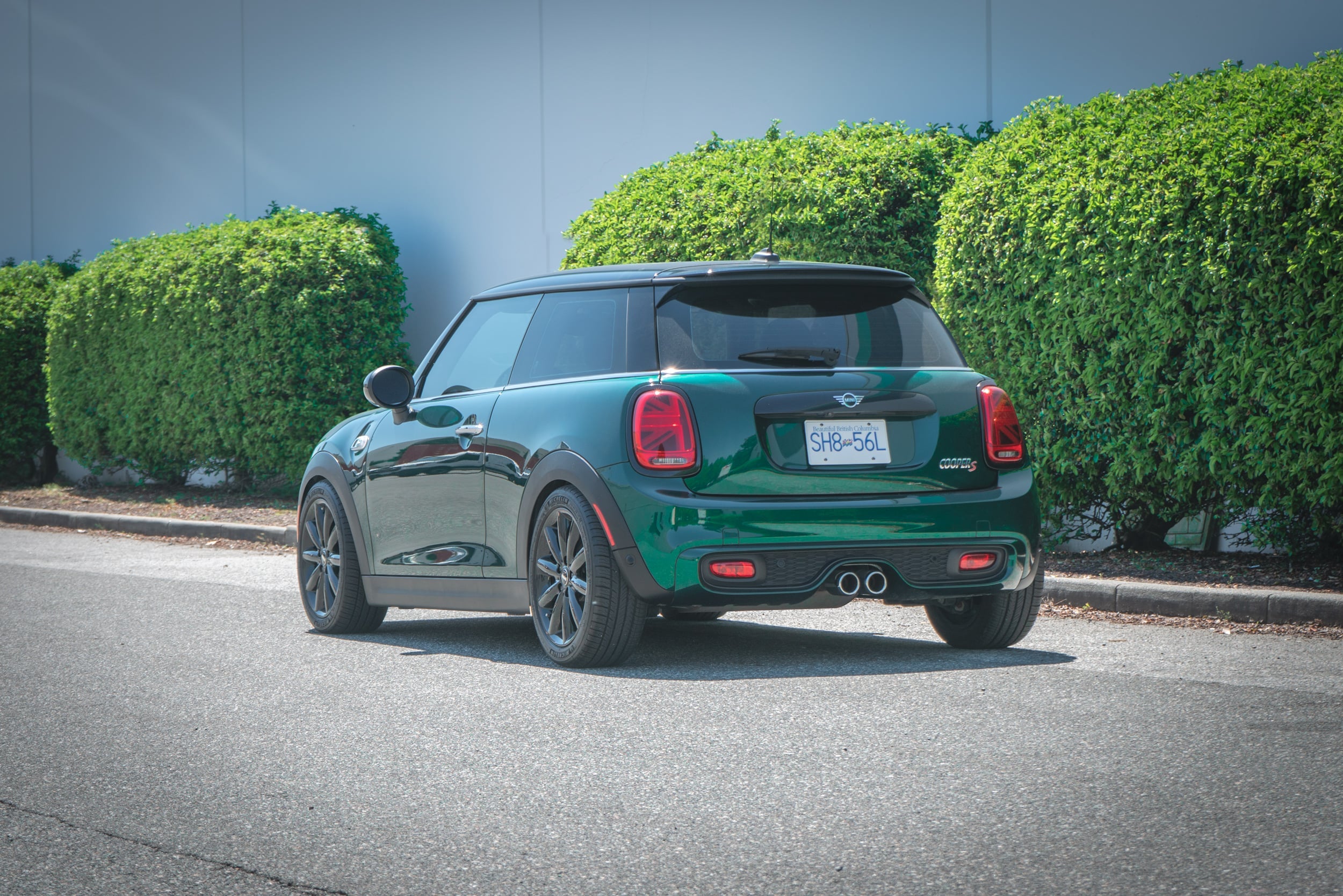 CTS Verlagingsveren Mini Cooper F55 F56 Cooper S JCW 5