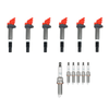 MEGADEAL: Endura Performance Bobines + NGK Racing Bougies BMW N54 / N55 / S55