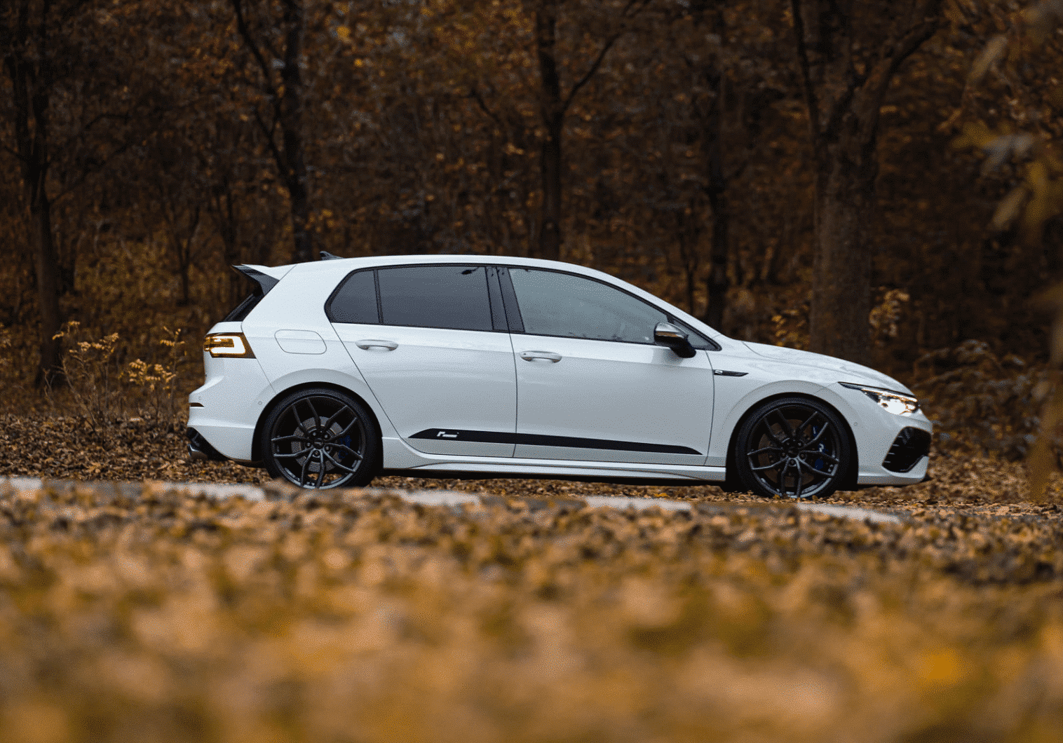 Racingline Sports springs Volkswagen Golf 8 R-2