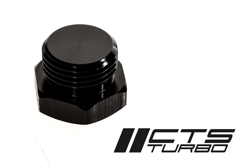 CTS -8AN O-ring boss plug voor brandstofrails 3