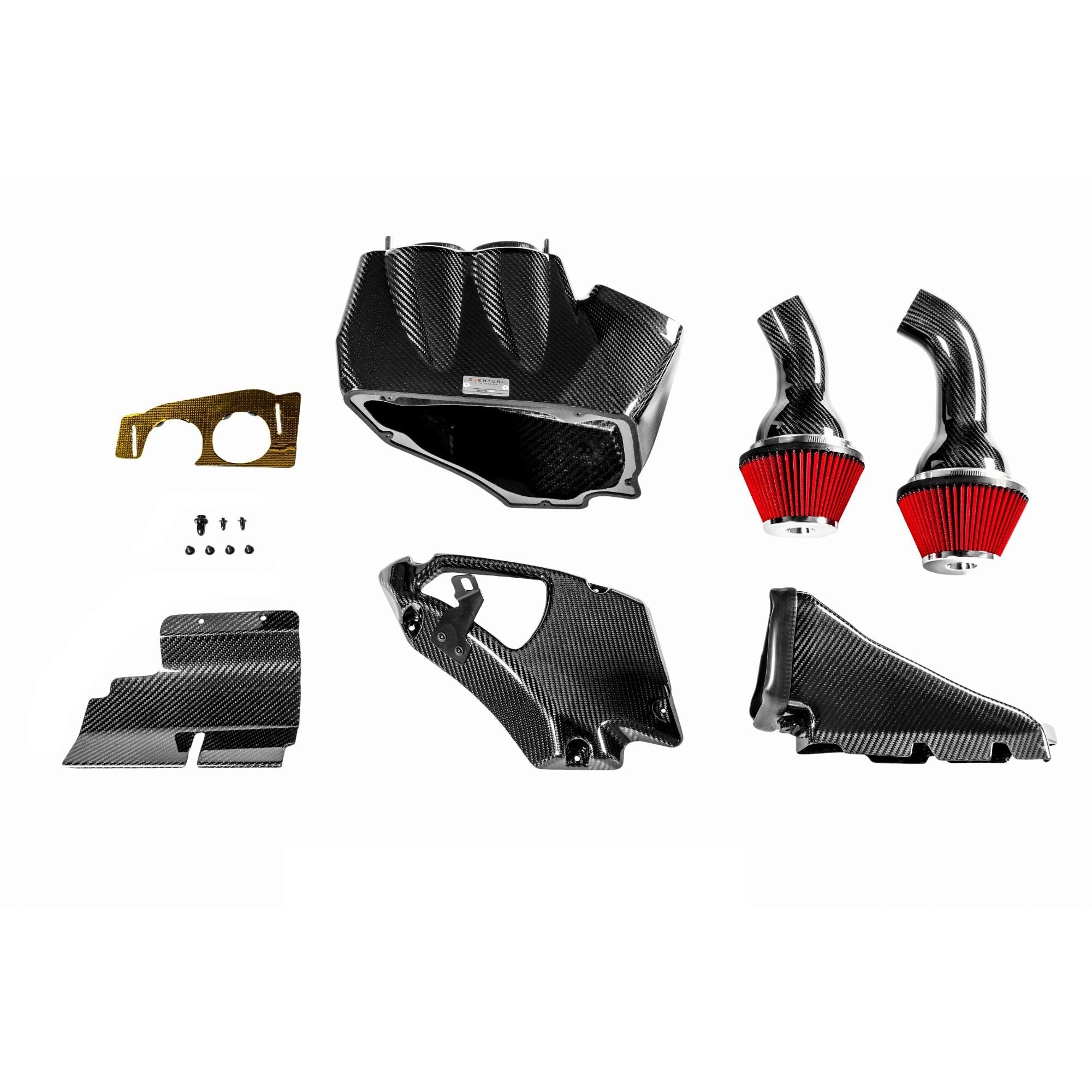 Eventuri Carbon Fiber Intake System Audi RS6 C7 / RS7 C7