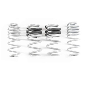 CTS Turbo Lowering Springs Audi A4 S4 B8