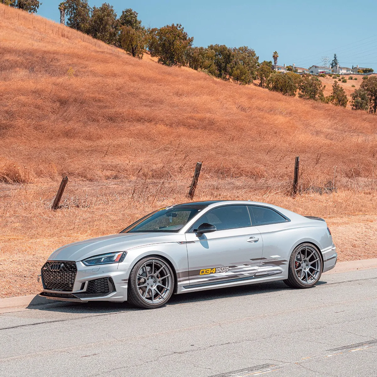 034 Motorsport Dynamic+ Verlagingsveren Audi RS5 B9 B9.5 05