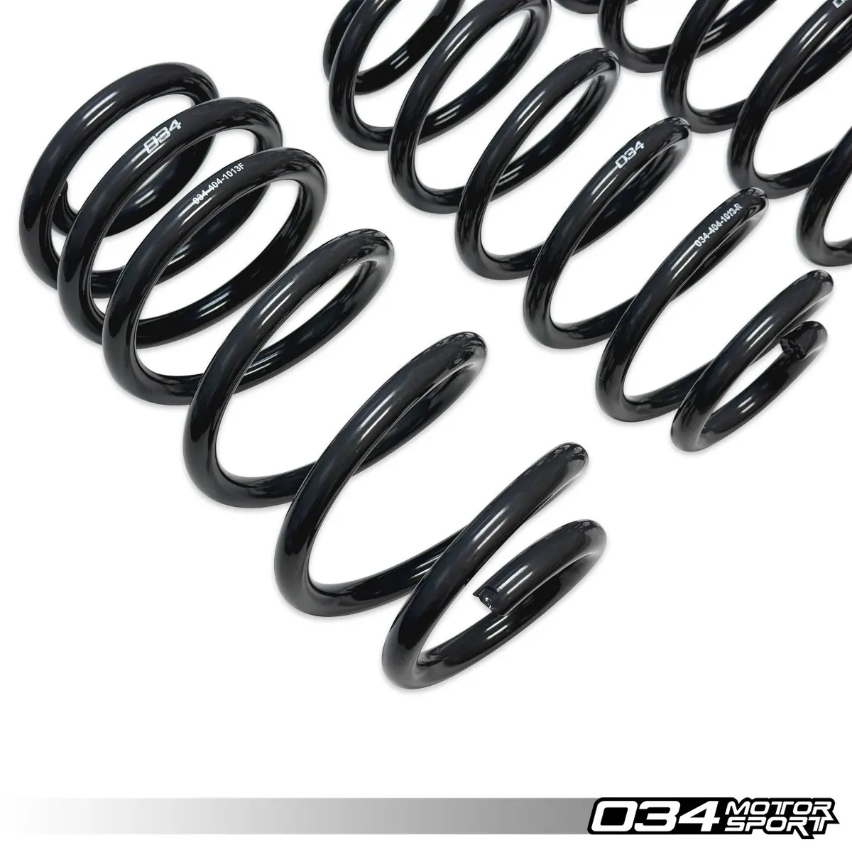 Dynamic+ Lowering Springs 03